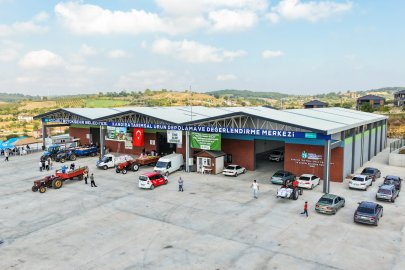 Kandıra’da Fındık Üreticisinin Yüzü Gülüyor