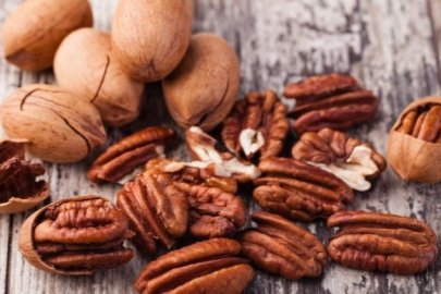 Pikan Cevizinin Üretim ve Ticareti Değerlendirildi