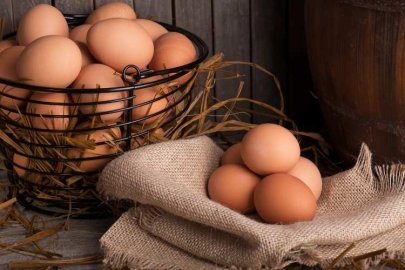 9 Ekim Dünya Yumurta Günü: Üretimden Tüketime Yumurta