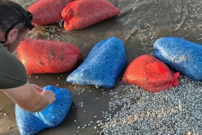 Mudanya’da 34 Çuval Kum Şırlanı Ele Geçirildi
