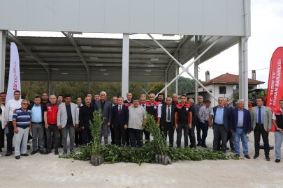Muğla’da Defne Üretiminden Yıllık 35 Milyon TL Gelir