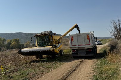 Üretilen Ayçiçek Yağları Sosyal Hizmetler Aracılığıyla Dağıtılacak