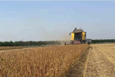 Adana’da Soya Hasadı Biçerdöver Ücretleri Açıklandı