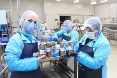 Sinop Lakerdası Katma Değerli Üretimle İç ve Dış Pazara Açılıyor