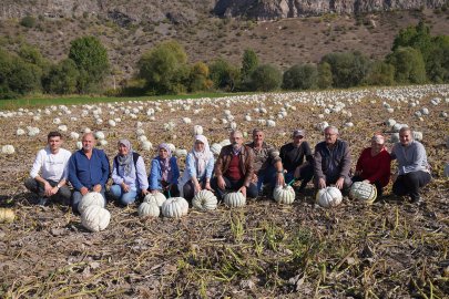 Kızılinler’de Balkabağı Hasadı Yapıldı, Panayır Heyecanı Başladı