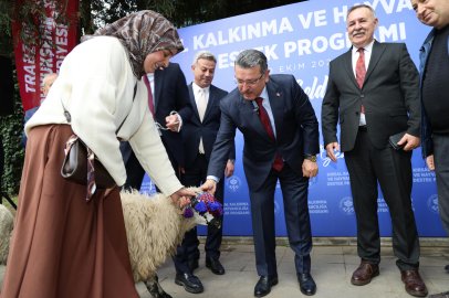 Trabzon Büyükşehir’den 36 Yetiştiriciye 180 Karayaka Koyunu