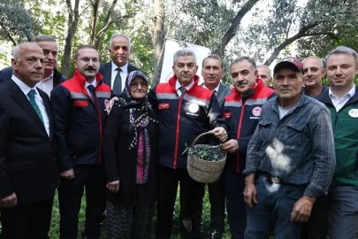Artvin Yusufeli’nde Butko Zeytini Hasadı Yapıldı