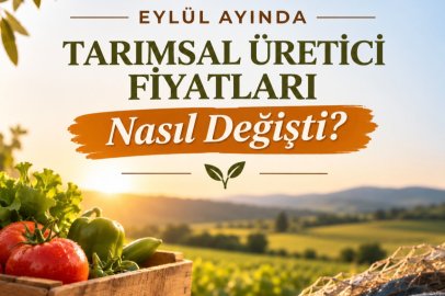 Eylül Ayında Tarımsal Üretici Fiyatları Nasıl Değişti?