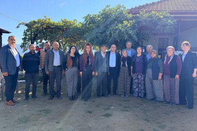 Sarıgöl’de Üzüm Üreticisi Mağdur: Üzümler Dalında Kaldı!