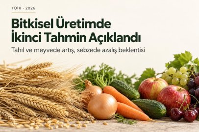 TÜİK 2026 Yılı İkinci Dönem Üretim Tahminlerini Açıkladı