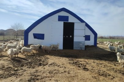 Yozgat’ta Küçükbaş Hayvancılığa Destek: 100 Yeni Hayvan Çadırı