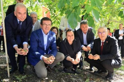 Çameli Ceviz Hasadı Şenliği Coşkuyla Gerçekleştirildi