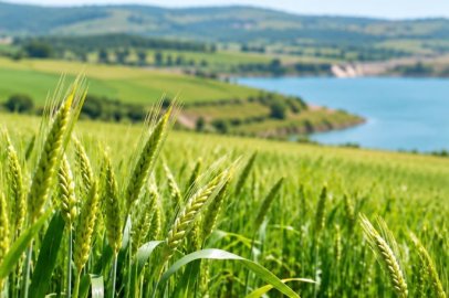 Tarımda Yeni Sezon Öncesi Son Durum: Bakanlık Açıkladı