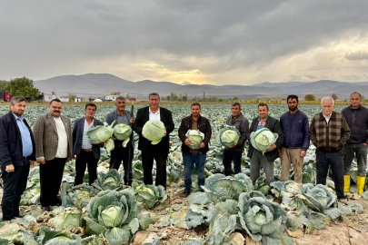 CHP'li Gürer: "Lahana da Çiftçisinin Yüzünü Güldürmedi"