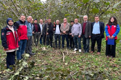 Giresun'da Fındık Üreticilerine Budama ve Gübreleme Eğitimi