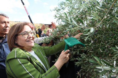 Nizip Zeytin Festivali 100.Yıl Gururuyla Başladı