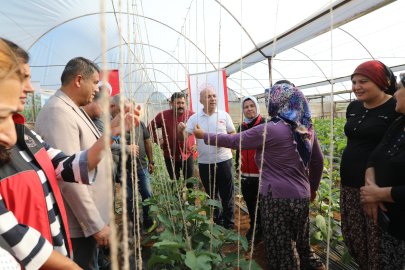 Antalya Seralarında Plastik Askı İplerine Yerli Kenevir Alternatifi