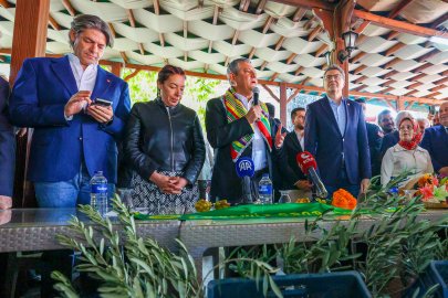 Genel Başkan Özel: "Zeytinde Tarihi Kriz Yaşanıyor,  Zeytin Ağaçta Kalıyor"