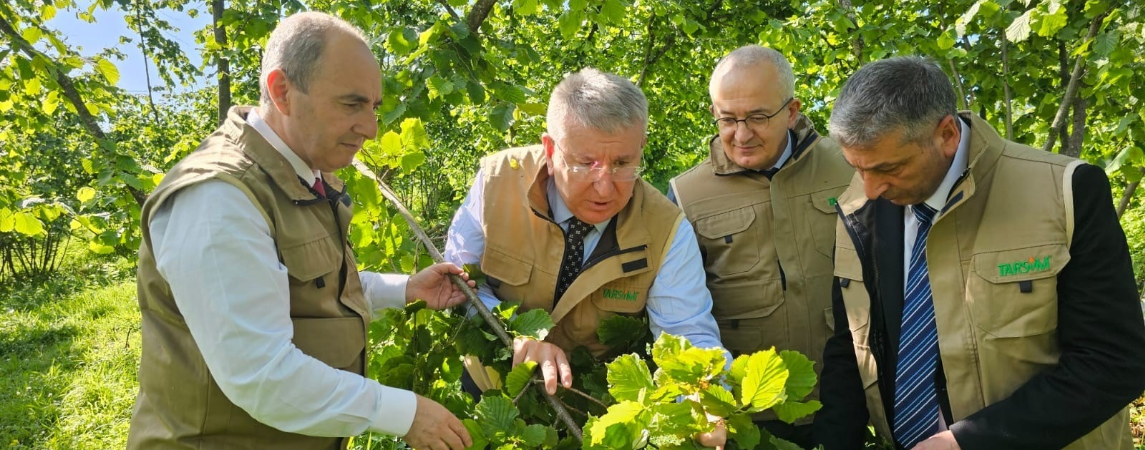 TARSİM Heyeti’nden Giresun ve Ordu’ya Ziyaret