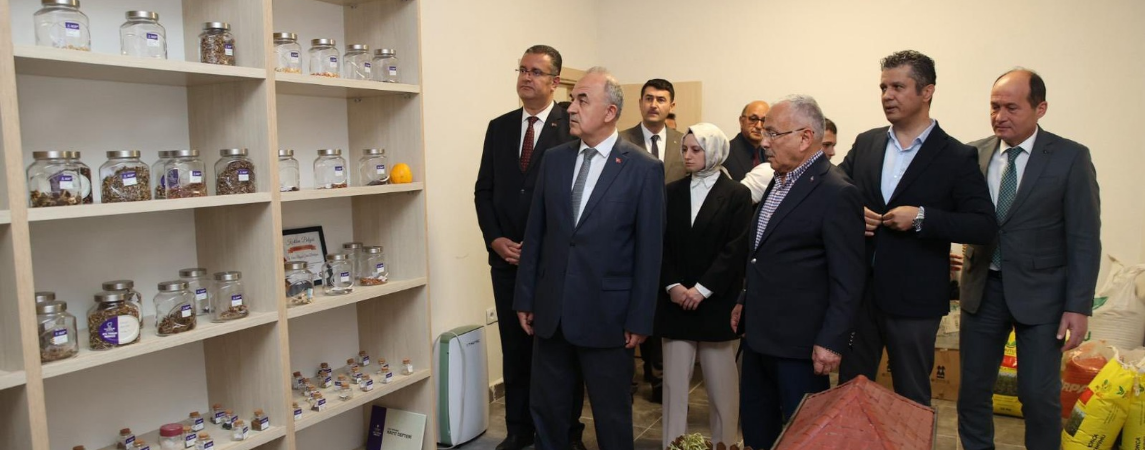 Ata Tohumları Korumamız Altında