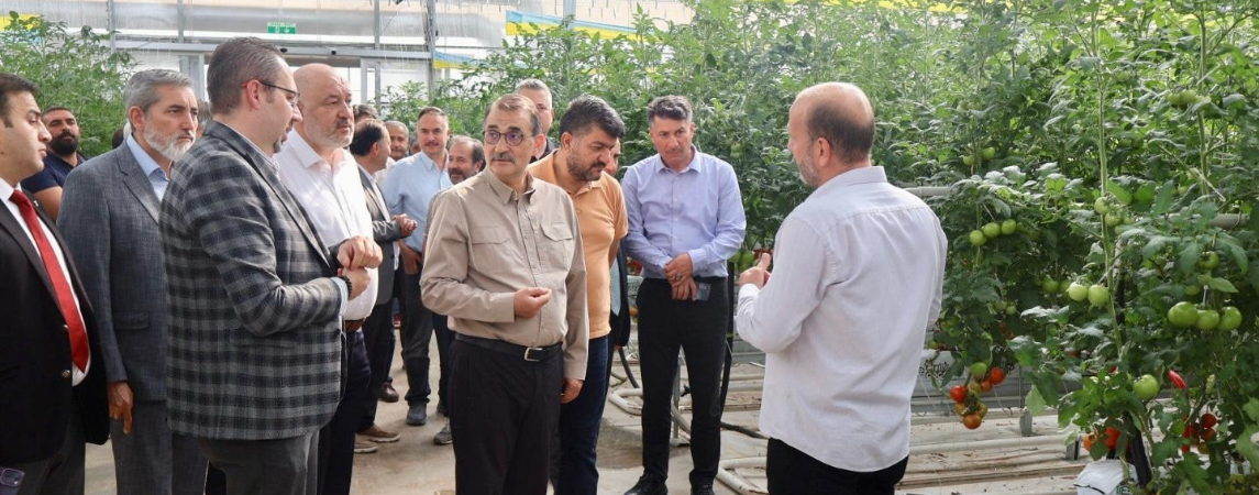 Eskişehir’de İlk Modern Topraksız Tarım İşletmesi Faaliyete Geçti