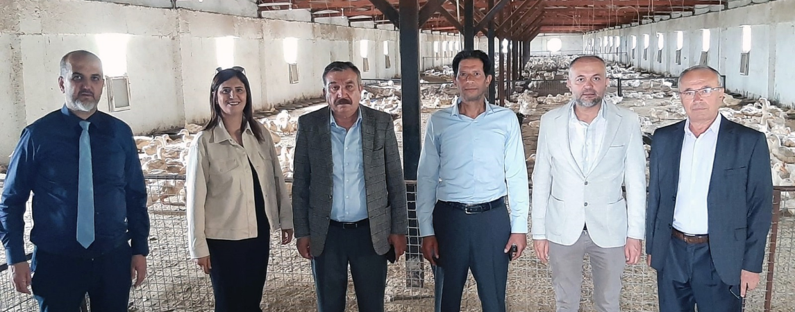 KÜTBO'dan Pekin Ördeği Çiftliğine Ziyaret 