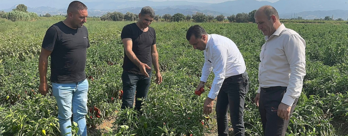 Bu Düzen Çiftçiyi Bitirir!
