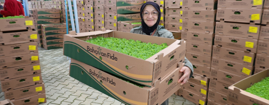 Gebzeli Çiftçiye 500 Bin Sebze Fidesi