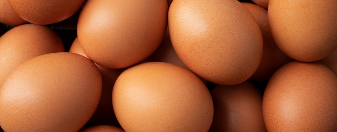 Yumurta Fiyatları Uçmaya Devam Edecek 