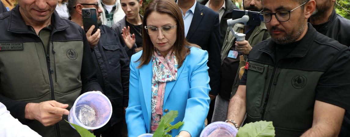 Bartın’da 6 Bin Adet Torymus Sinensis Salındı
