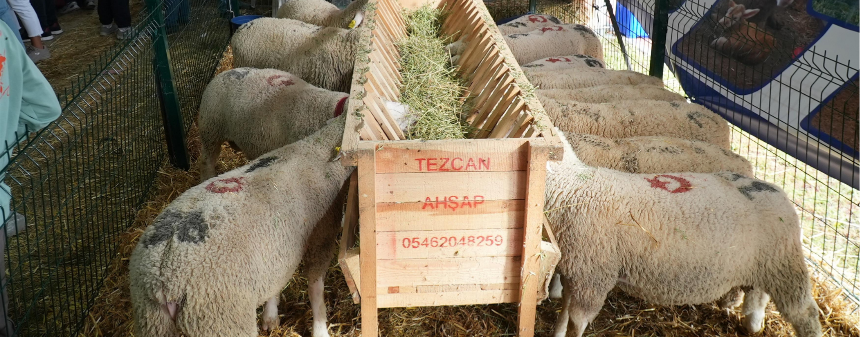 Balıkesir Tarım ve Hayvancılık Fuarı Ziyaretçi Rekoru Kırdı