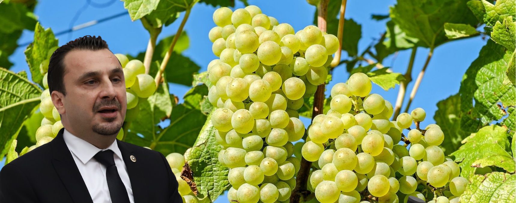 Üzüm Üreticisine Bir Darbede TMO'dan