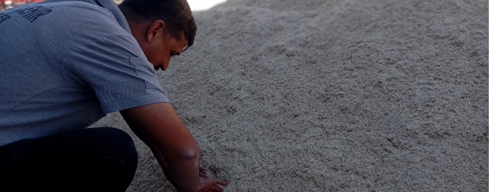 Küçükbaş Hayvan Üreticilerine Yem Desteği