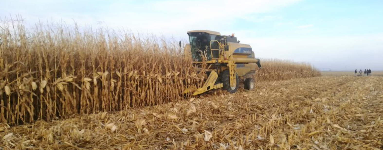 Üretim Var Ama İthalat Yine Gündemde!