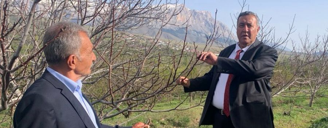 Zirai Don Olup Geçmedi, Etkisi İki Yıl Sürecek 