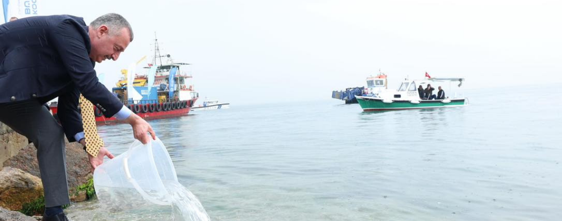 İzmit Körfezi Küllerinden Doğuyor!
