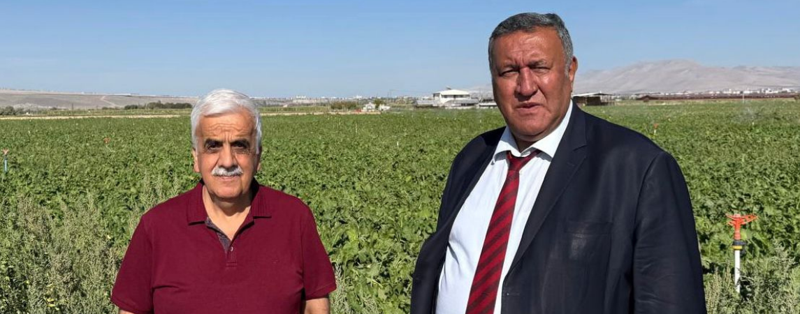 Çiftçi Şeker Pancarı Alım Fiyatının Açıklanmasını Bekliyor