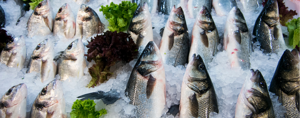 Su Ürünleri Sektörü 143 Milyon Dolarlık İhracatla Gurur Verdi